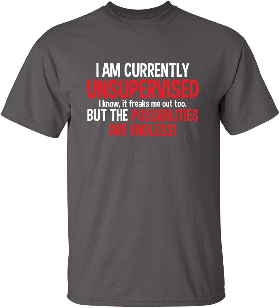 I'M Currently Unsupervised Novelty Graphic Sarcastic Funny T Shirt