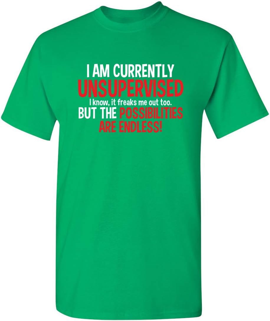 I'M Currently Unsupervised Novelty Graphic Sarcastic Funny T Shirt