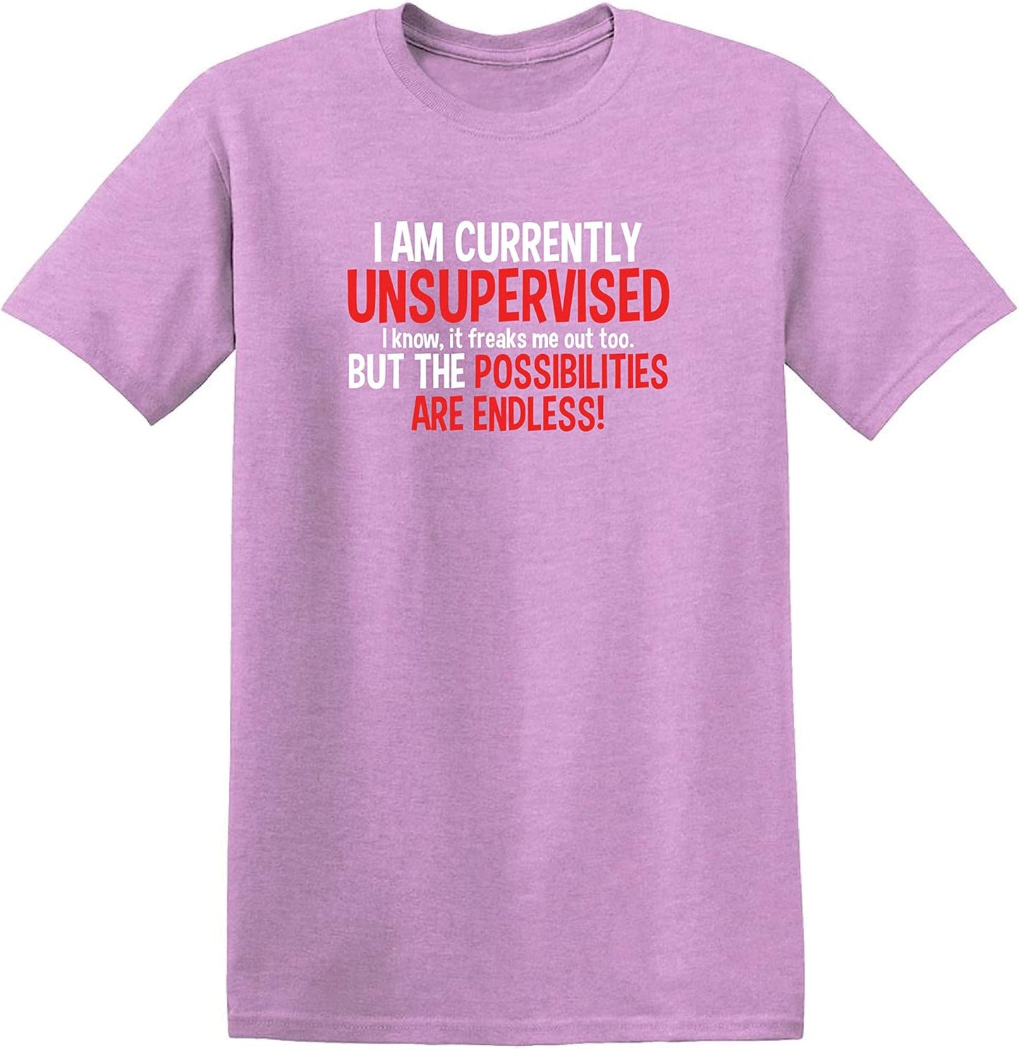 I'M Currently Unsupervised Novelty Graphic Sarcastic Funny T Shirt