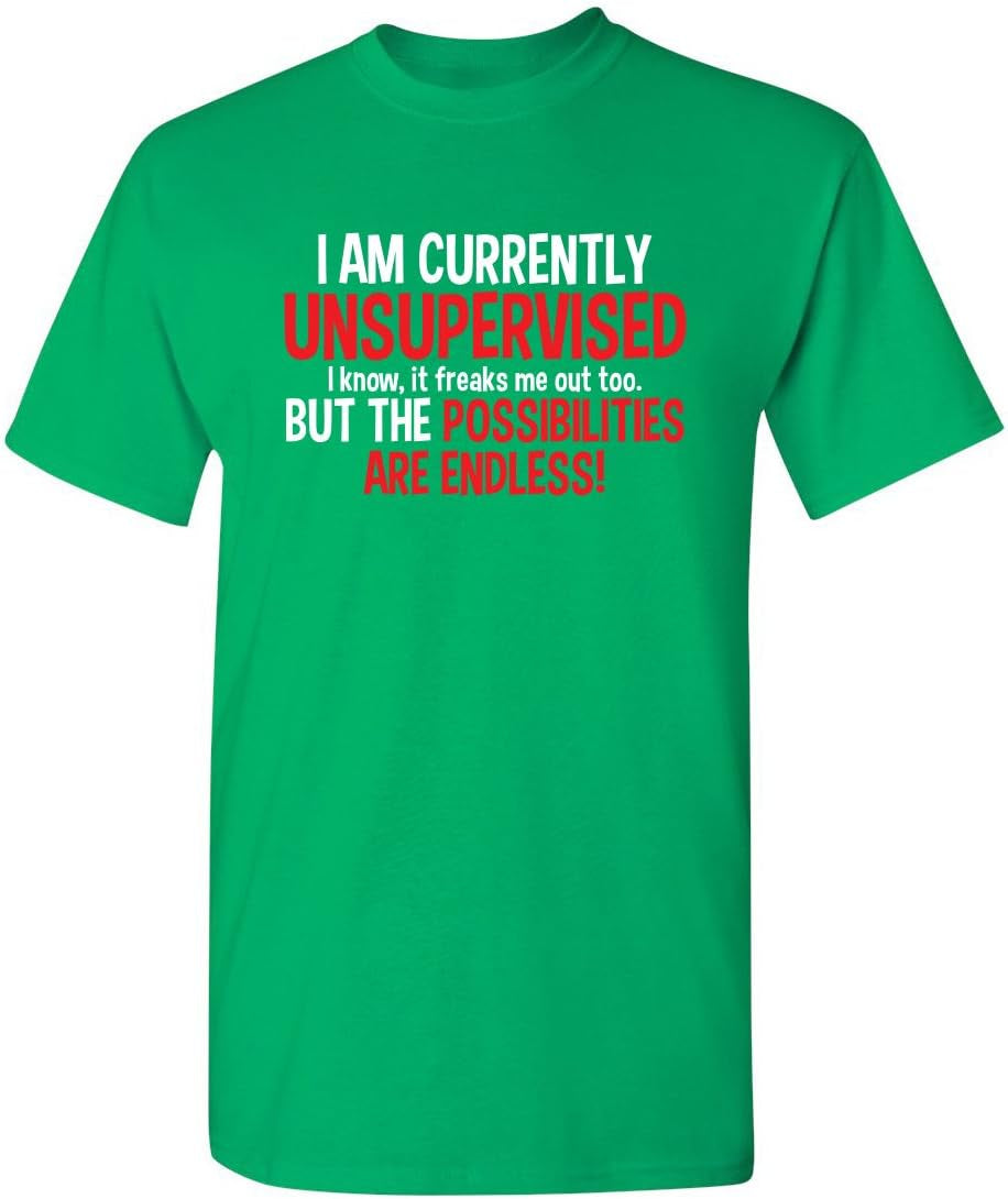 I'M Currently Unsupervised Novelty Graphic Sarcastic Funny T Shirt