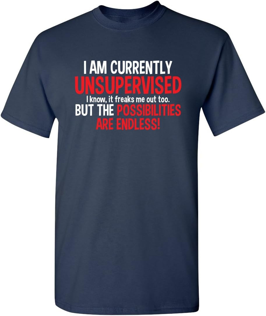 I'M Currently Unsupervised Novelty Graphic Sarcastic Funny T Shirt