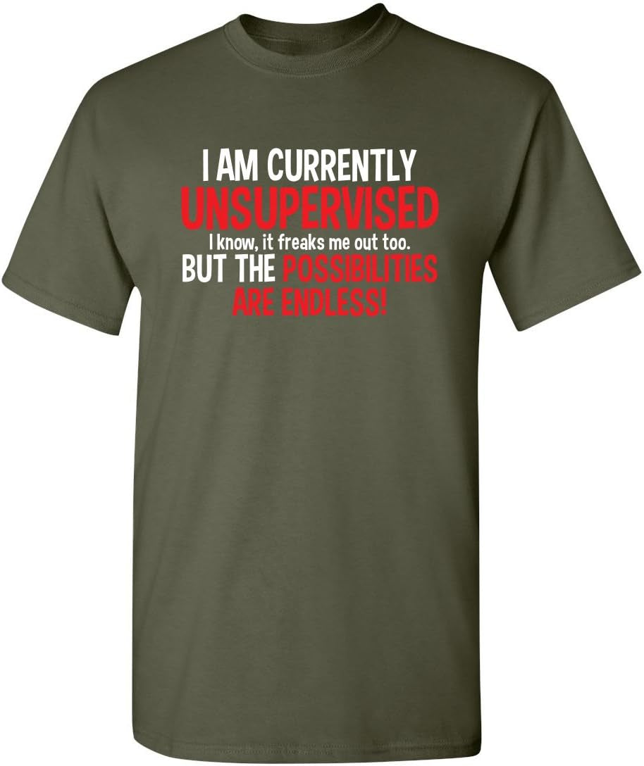 I'M Currently Unsupervised Novelty Graphic Sarcastic Funny T Shirt