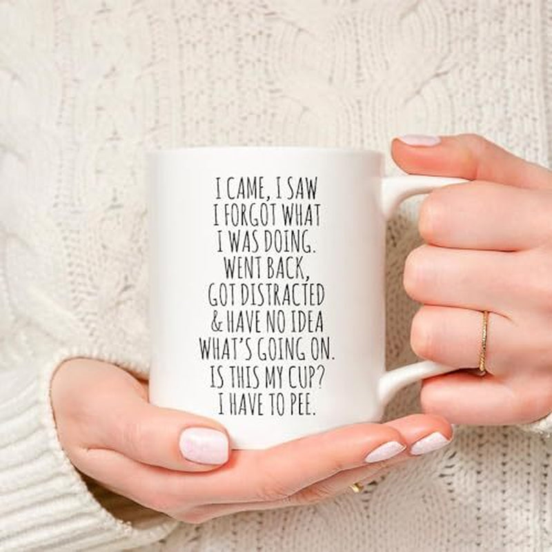 I Came I Saw I Forgot Coffee Mug – Funny Birthday Gifts for Old People - Sarc...