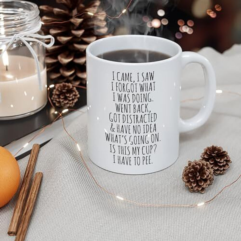I Came I Saw I Forgot Coffee Mug – Funny Birthday Gifts for Old People - Sarc...