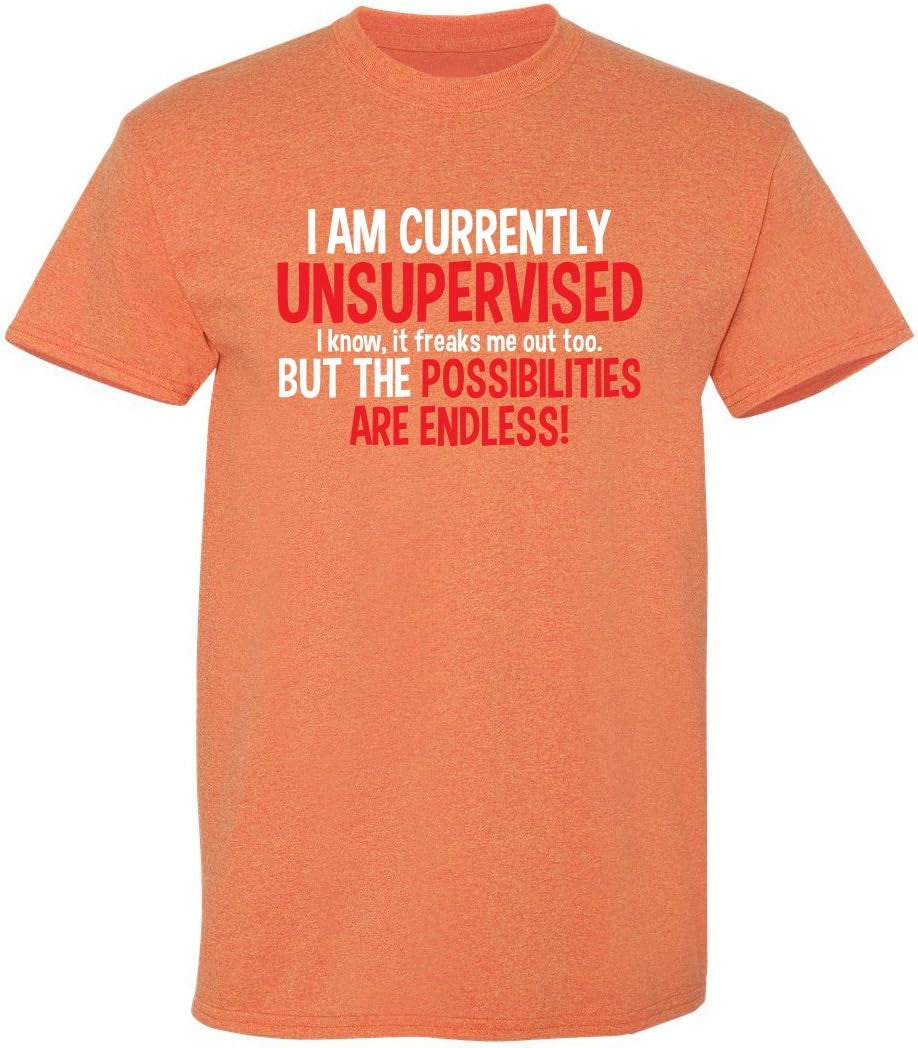 I'M Currently Unsupervised Novelty Graphic Sarcastic Funny T Shirt