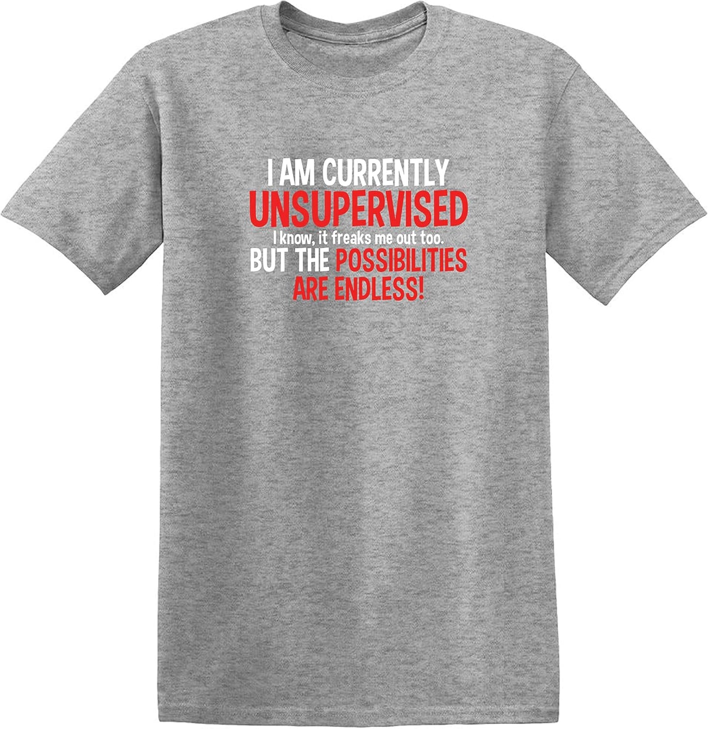 I'M Currently Unsupervised Novelty Graphic Sarcastic Funny T Shirt