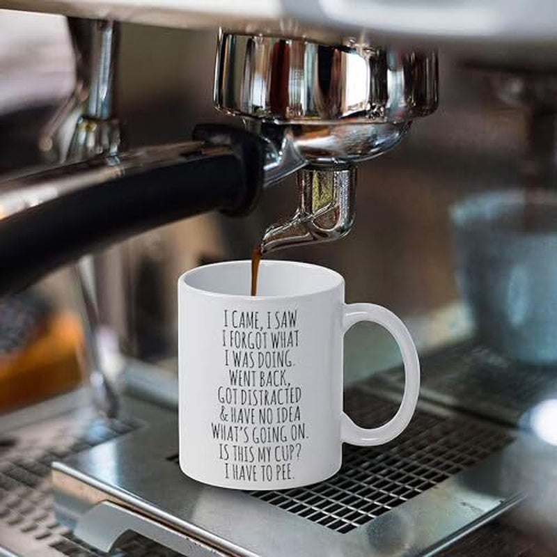 I Came I Saw I Forgot Coffee Mug – Funny Birthday Gifts for Old People - Sarc...