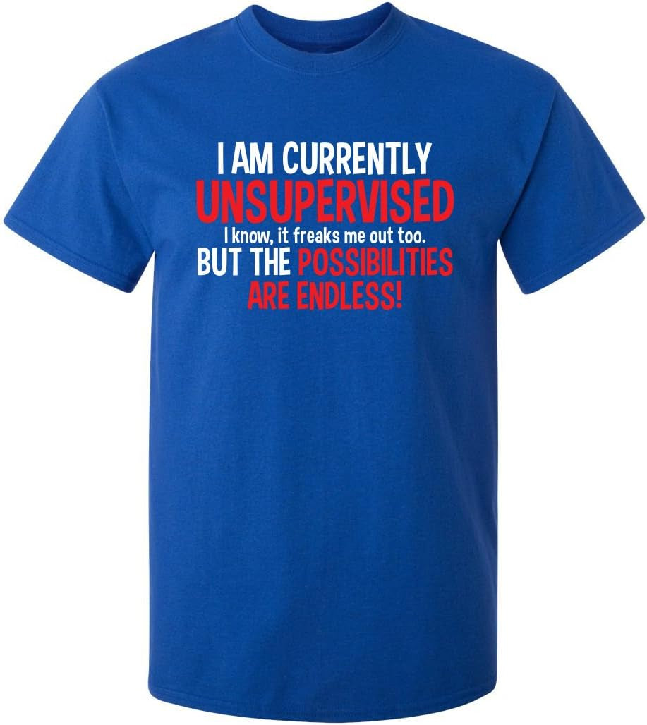 I'M Currently Unsupervised Novelty Graphic Sarcastic Funny T Shirt