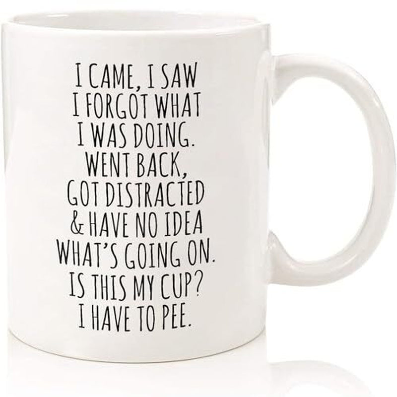 I Came I Saw I Forgot Coffee Mug – Funny Birthday Gifts for Old People - Sarc...