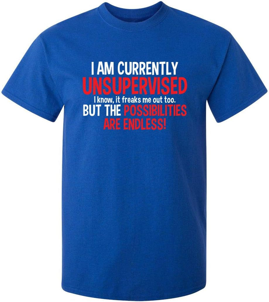 I'M Currently Unsupervised Novelty Graphic Sarcastic Funny T Shirt