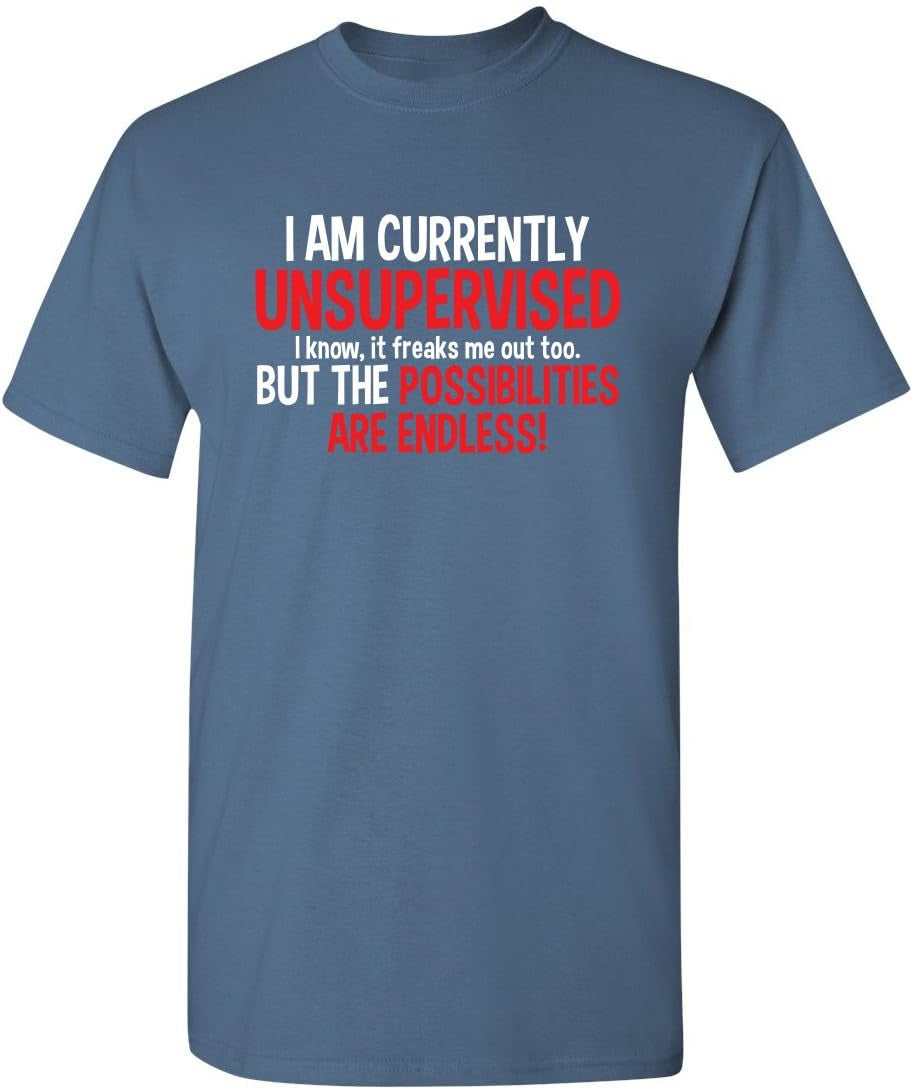 I'M Currently Unsupervised Novelty Graphic Sarcastic Funny T Shirt