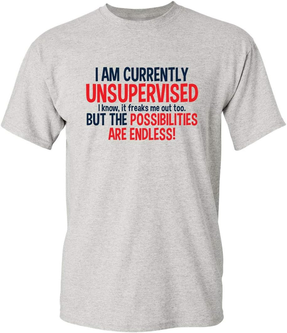 I'M Currently Unsupervised Novelty Graphic Sarcastic Funny T Shirt