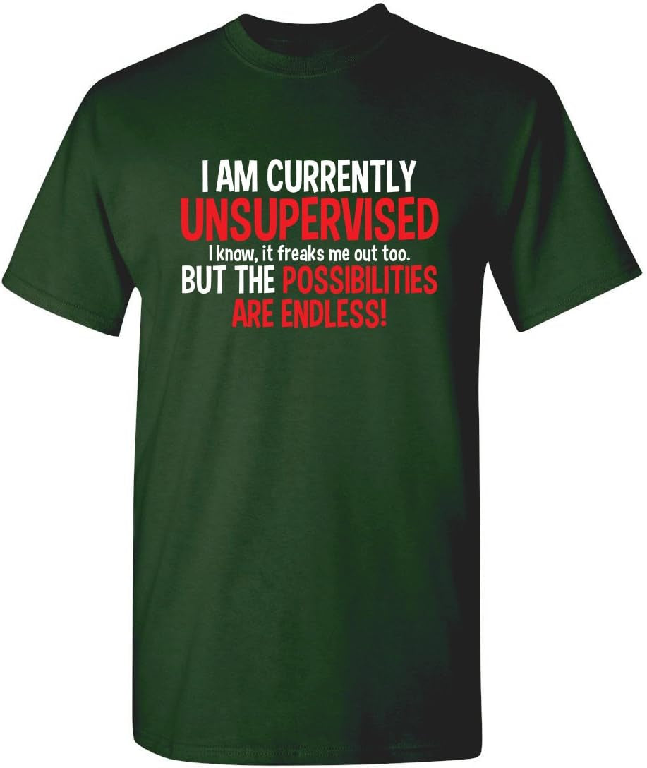 I'M Currently Unsupervised Novelty Graphic Sarcastic Funny T Shirt