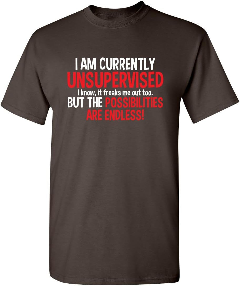 I'M Currently Unsupervised Novelty Graphic Sarcastic Funny T Shirt