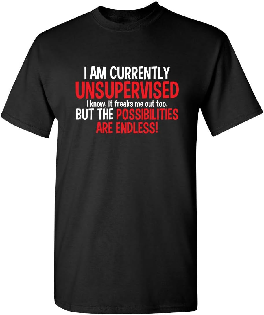 I'M Currently Unsupervised Novelty Graphic Sarcastic Funny T Shirt
