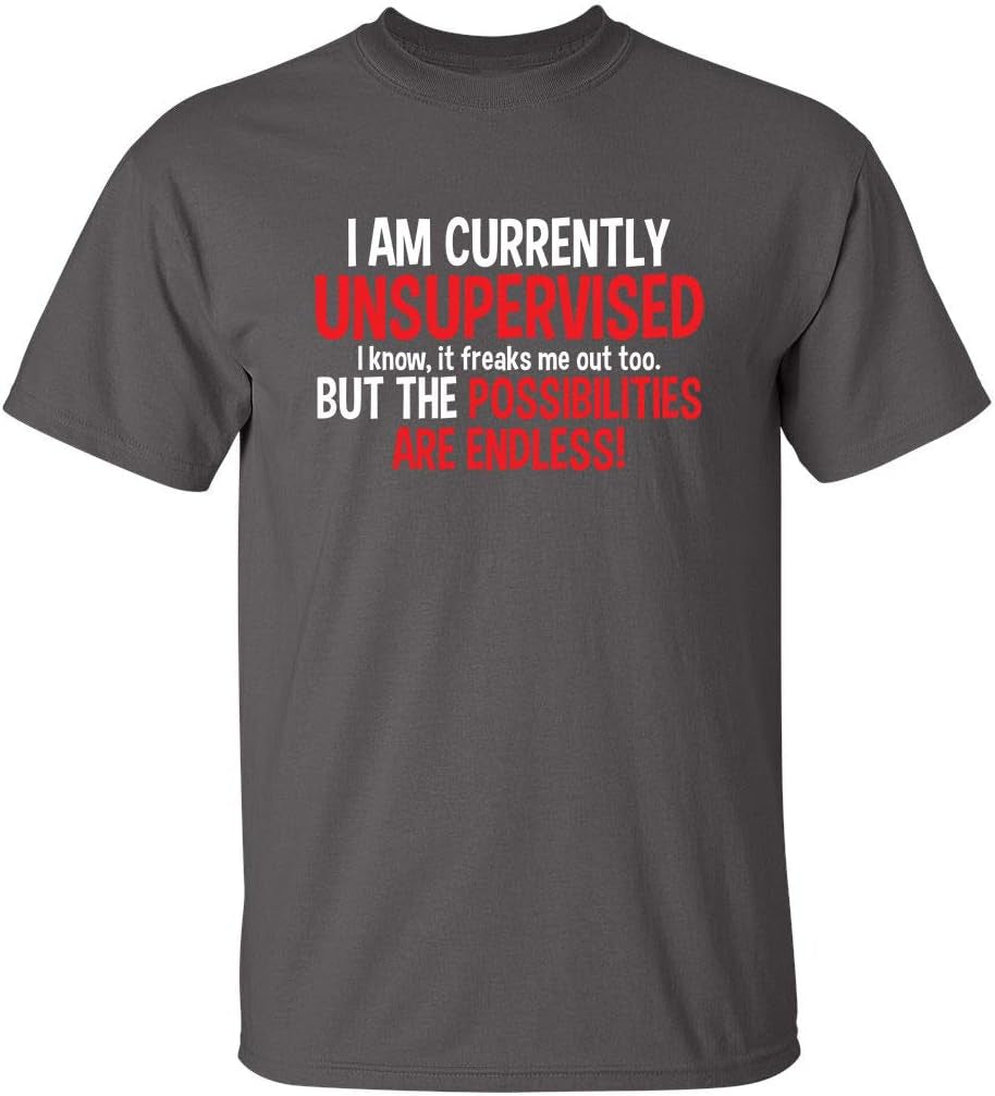 I'M Currently Unsupervised Novelty Graphic Sarcastic Funny T Shirt